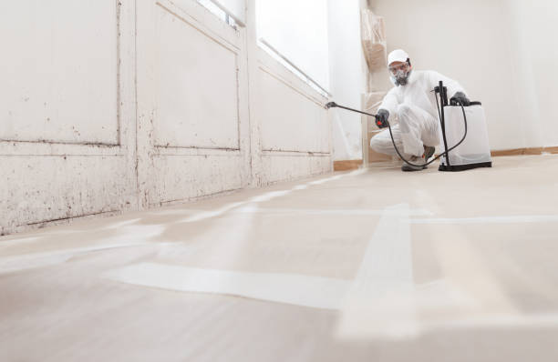 24/7 Emergency Mold Remediation experts in Convent Station, NJ