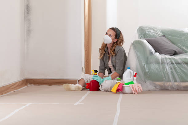 Reliable Mold Remediation contractor in Convent Station, NJ by WQB Mold Removal